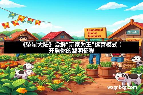 《坠星大陆》尝鲜“玩家为王”运营模式：开启你的黎明征程